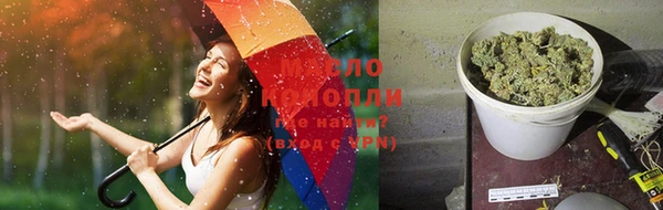 шишки Грязовец