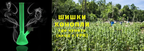 соль ск Осинники