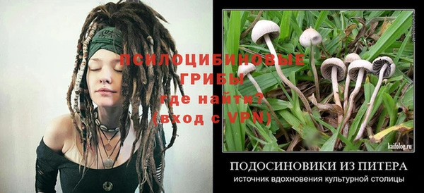 соль ск Осинники