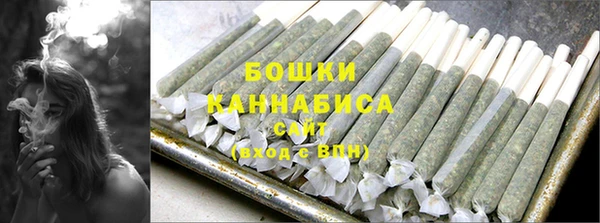 твердый Нягань