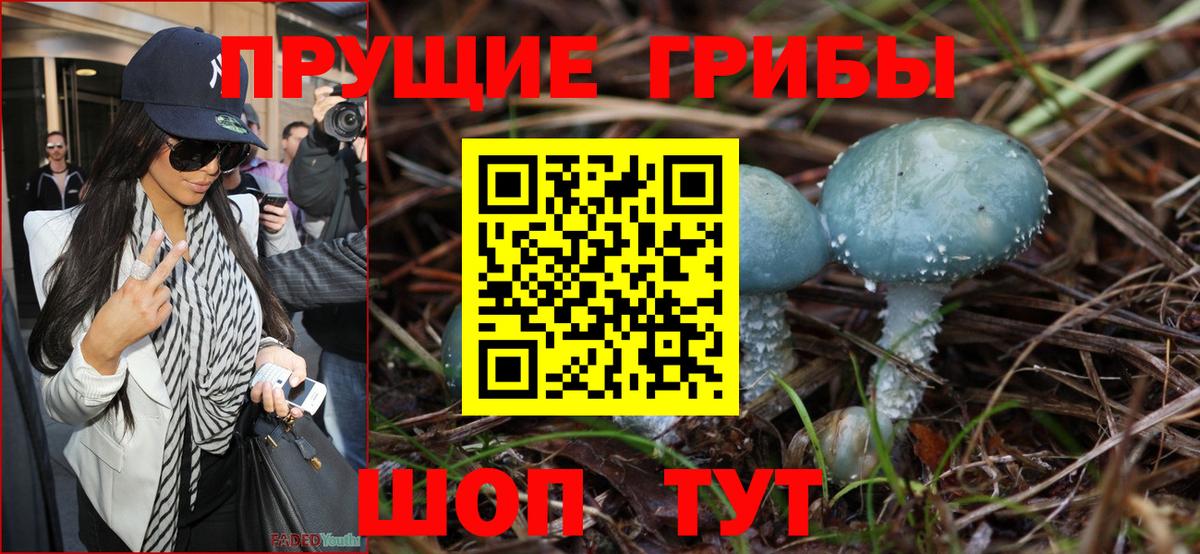Псилоцибиновые грибы Cubensis  Вход с VPN  Галлюциногенные грибы Cubensis  Торжок 