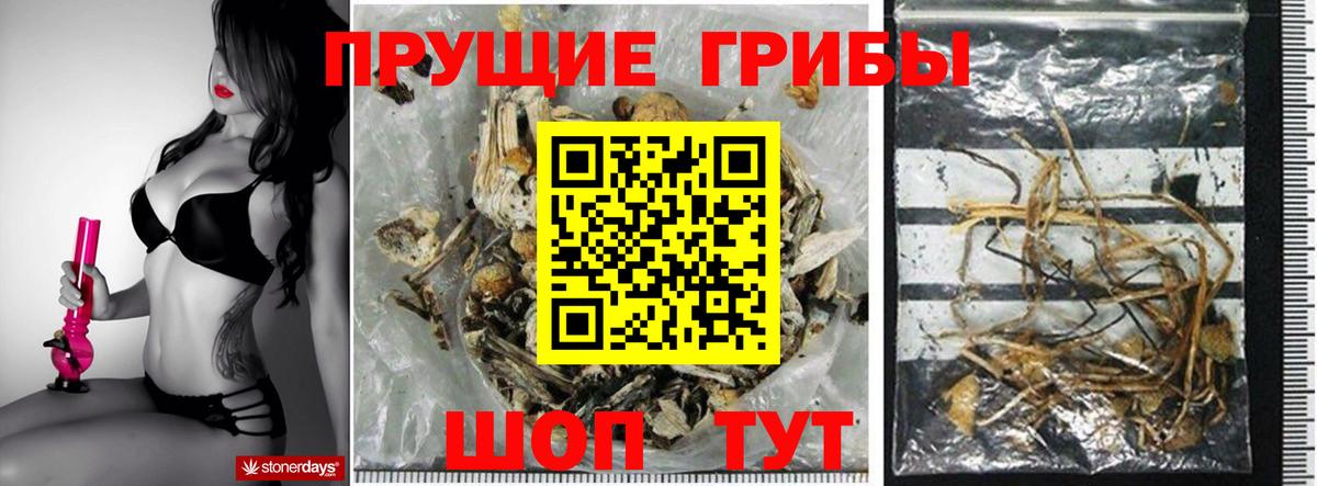 Плюхи  Торжок  Наркошоп  Мяу-Мяу  Мефедрон  APVP  Вход с VPN  Марки  Бошки Шишки  Мед 