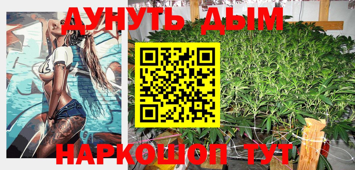 Каннабис SATIVA & INDICA Торжок
